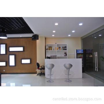 High Brightness 12W Downlight LED Lights.